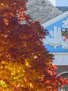 Fall leaves on the Johns Hopkins University Homewood campus.